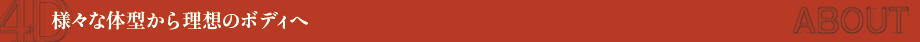 様々な体型から理想のボディへ